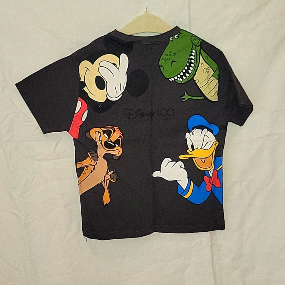 Zara disney shirt